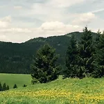 Chalet Chata Vlocka Oravska Lesna