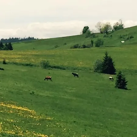 Chata Vlocka Chalet Oravska Lesna