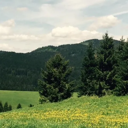 Chalet Vlocka - Orava Snow V Lyziarskom Stredisku Oravská Lesná