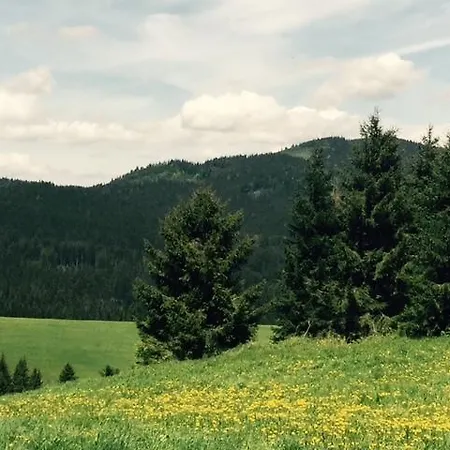 Domek alpejski Vlocka - Orava Snow V Lyziarskom Stredisku Oravská Lesná