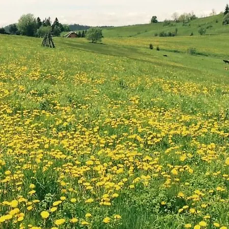Chalet Vlocka - Orava Snow V Lyziarskom Stredisku *