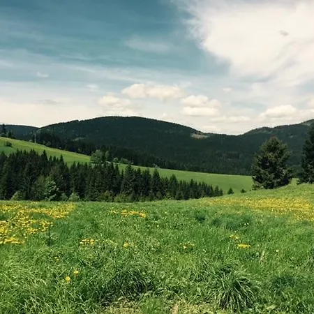 Chata Vlocka Oravska Lesna