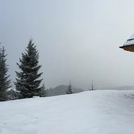 Vlocka - Orava Snow V Lyziarskom Stredisku