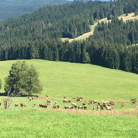 Vlocka - Orava Snow V Lyziarskom Stredisku Domek alpejski